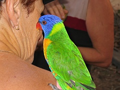 CairnsTC156 Granite Gorge